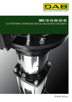 nkv 45 - DAB Pumps S.p.A.