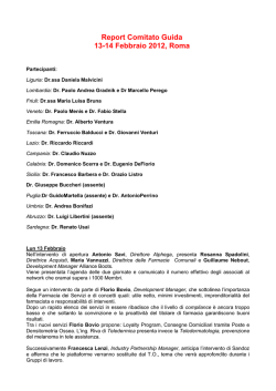 Report Comitato Guida 13-14 Febbraio 2012, Roma