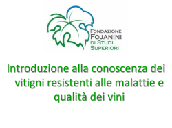 La viticoltura biologica