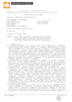Testo della delibera - Provincia di Treviso