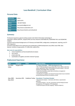 Curriculum Vitae - CRM Senior Consultant