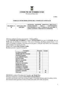 N. 28 DEL 25 LUGLIO GESTIONE ASSOCIATA OIV