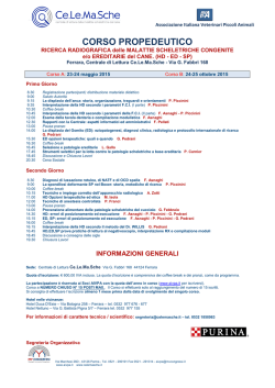 Bozza programma al 3 11 2011