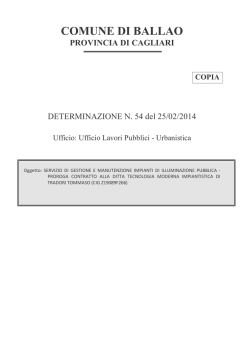 DET. N. 54 - Comune di Ballao