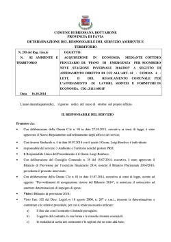 DETERMINA N. 295 DEL 16.10.2014
