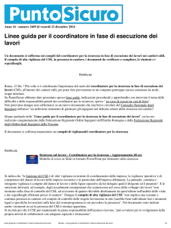 Linee guida per il coordinatore in fase di esecuzione