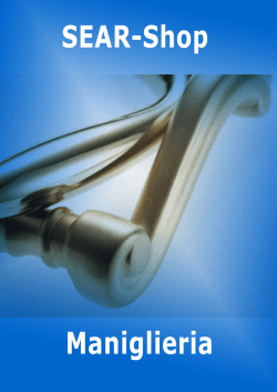 Presenti con Professionalit&agrave; ed Efficienza - SEAR-Shop