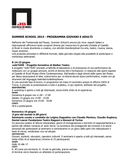 summer school 2014 - programma giovani e adulti
