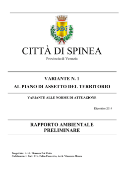 05.AllegatoF Vas - Comune di Spinea