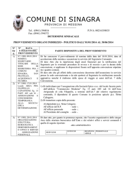 politico Determine Sindacali 01.01.2014