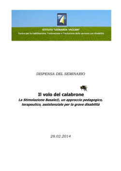 Dispensa Seminario - Volontariato Lazio