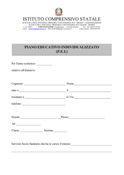 bozza modello pei
