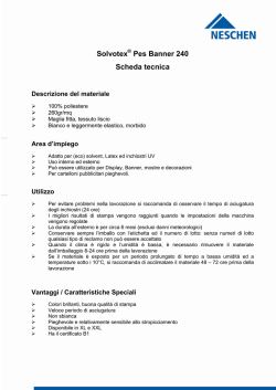 Solvotex Pes Banner 240 Scheda tecnica