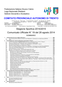 Comunicato n. 19