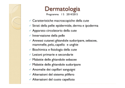 Apparato tegumentario