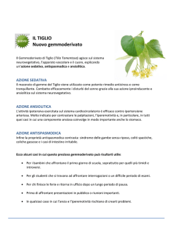 IL TIGLIO Nuovo gemmoderivato