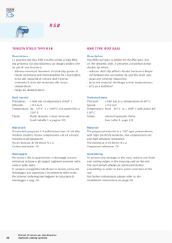TENUTA STELO TIPO RSB RSB TYPE ROD SEAL