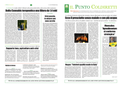 Il Punto Coldiretti 37