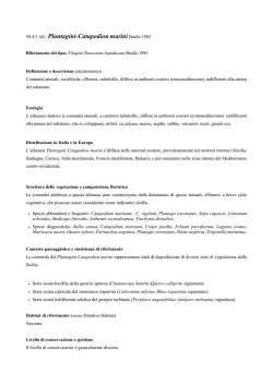 50.4.3 All.: Plantagini-Catapodion marini