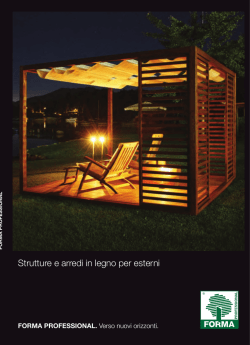 CatGuercioProf 2011 110-111.indd - Guercio