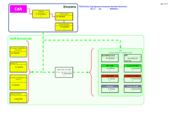 organigramma in formato PDF