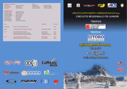 Comitato organizzatore Presidente Damiano Guidolin