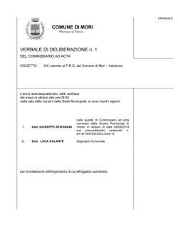 Allegato - Comune di Mori