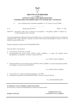 pdf - Provincia di Brindisi