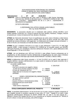 DETERMINA LIQUIDAZIONE 2 sal