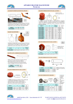 APPARECCHIATURE MAGNETICHE Pavone sas