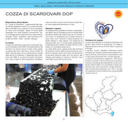 Cozza di Scardovari DOP