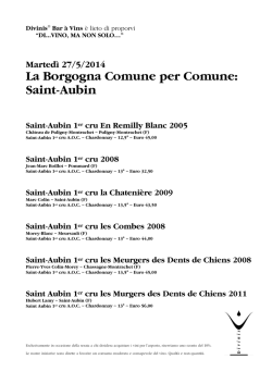 Saint-Aubin 1er cru 2008