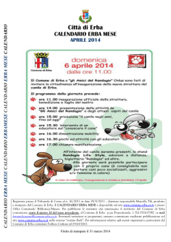 APRILE 2014 PRIMA verifica i solo foglio