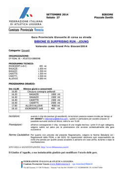 BIBIONE IS SURPRISING RUN - JOUNG