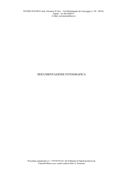 documentazione_fotografica 1755 (pdf 757 kB)