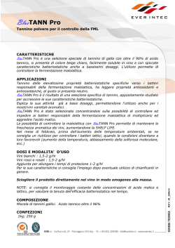 BlueTANN Pro - EVER INTEC