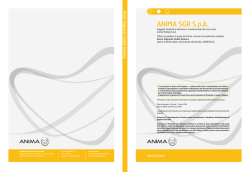 Prospetto - Anima Traguardo Cedola America