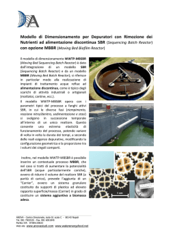 Modello di Dimensionamento per Depuratori con