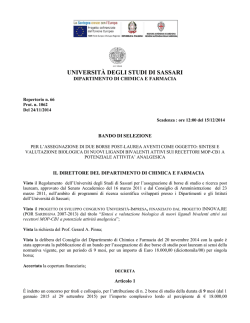 Bando - Universit&agrave; degli Studi di Sassari