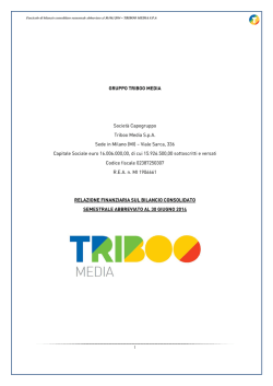 1H2014 TBM CONSO Definitivo