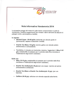 apri il documento