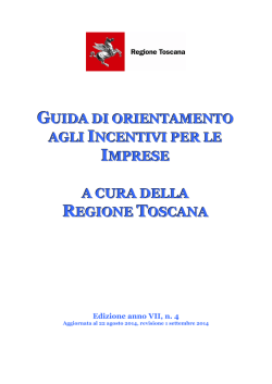 Guida di Orientamento agli incentivi per le Imprese
