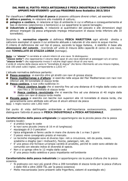 PESCA ARTIGIANALE E PESCA INDUSTRIALE A CONFRONTO