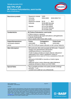650 TPC-PUR 2K Finitura Poliuretanica, semi-lucida