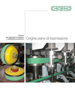 Cinghie piane di trasmissione