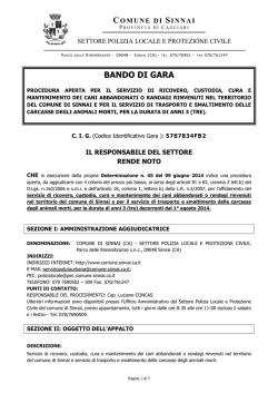 Bando [file ] - Comune di Sinnai