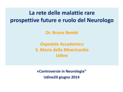 bembi bruno