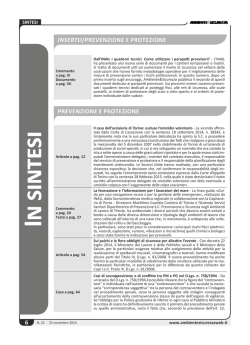 Sintesi_AS22 - Ambiente Sicurezza Web