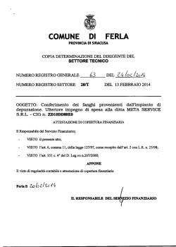 COMUNE DI FERLA