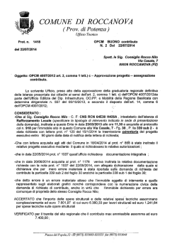 autorizzazione-buono contributo opcm 4007 ditta consiglio rocco nilo